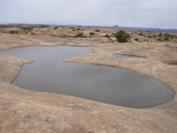 Pothole Trail